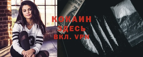 дмт Костерёво