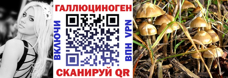купить наркотик  блэк спрут сайт  Псилоцибиновые грибы Psilocybine cubensis  Лебедянь 